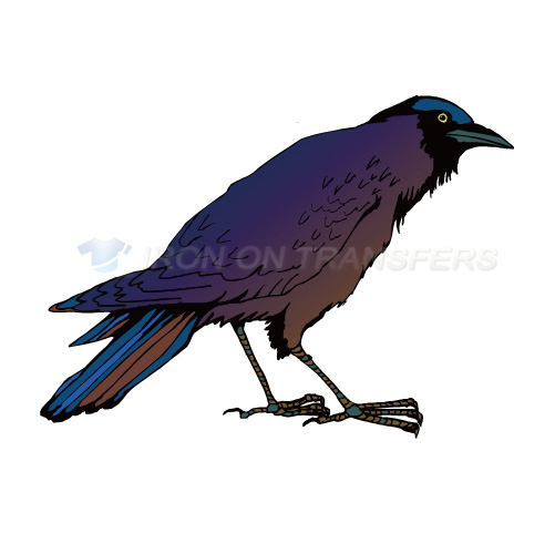 Birds Iron-on Stickers (Heat Transfers)NO.2134